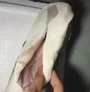 DƬ